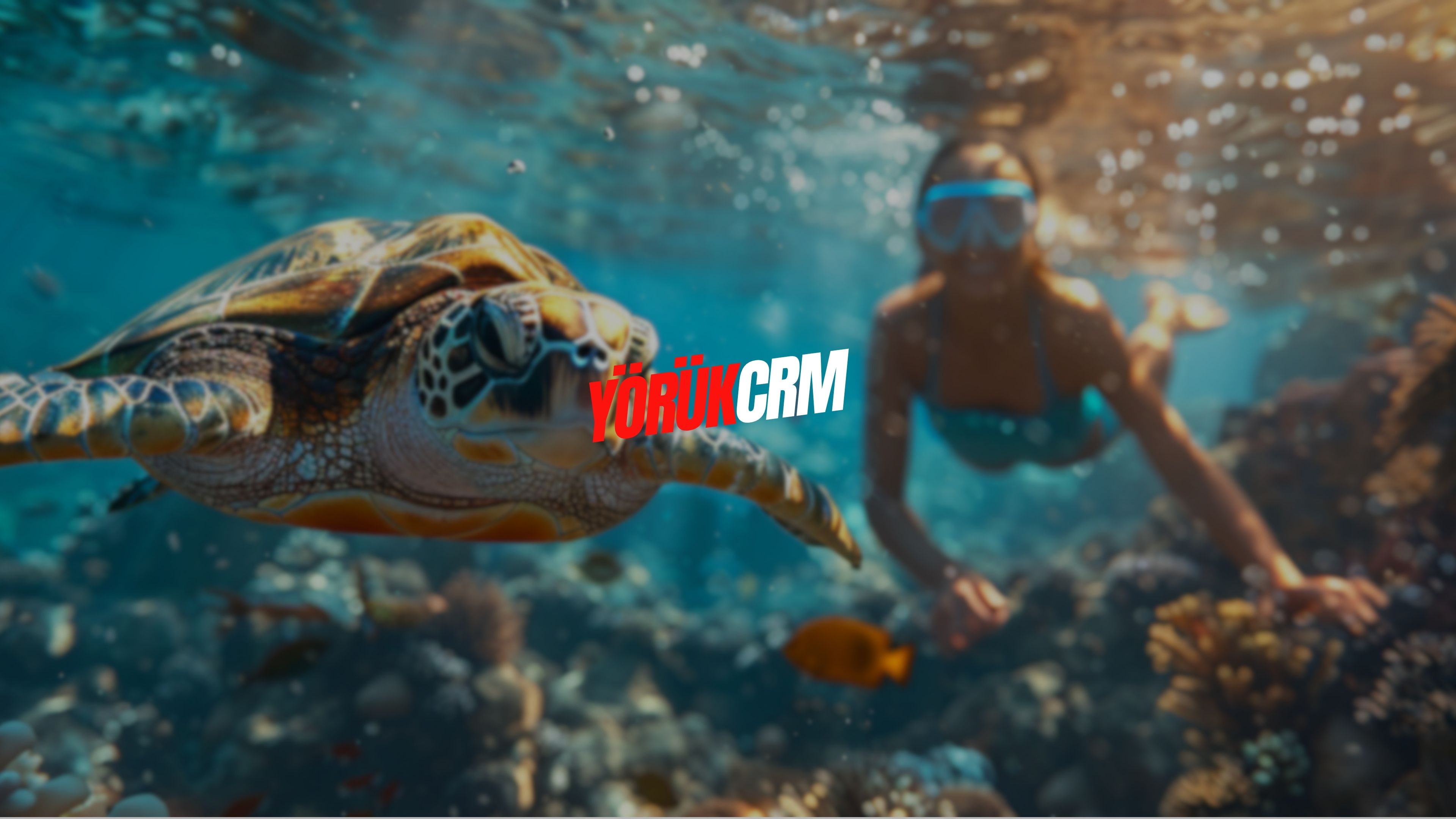 Yörük Travel CRM